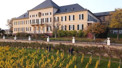 blecher-gemuenden.de