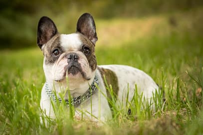 DirkDittrich-Fotografie | Hochzeitsfotograf