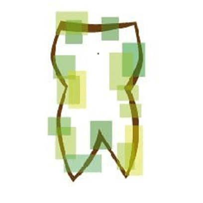 Dr.med.dent. Tim Nettesheim