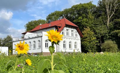 Möhlmann Immobilien KG